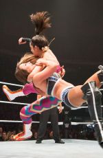 WWE -  Live in Bologna 05/04/2017