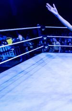 WWE - Live in Bournemouth 05/08/2017