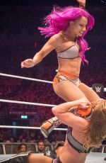 WWE - Live in Dublin 05/05/2017