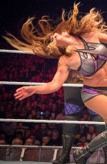 WWE - Live in Dublin 05/05/2017