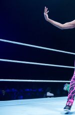 WWE - Live in Glasgow 05/04/2017