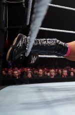 WWE Live in Lille 05/09/2017