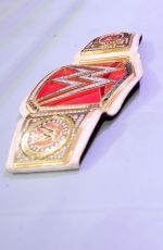 WWE Live in Lille 05/09/2017