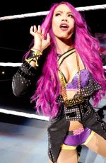 WWE Live in Lille 05/09/2017