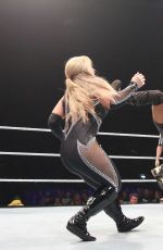WWE Live in Newcastle 05/11/2017