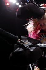 WWE Live in Rotterdam 05/13/2017