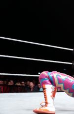 WWE Live in Rotterdam 05/13/2017
