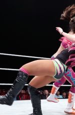 WWE Live in Rotterdam 05/13/2017