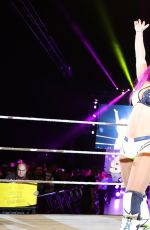 WWE Live in Rotterdam 05/13/2017