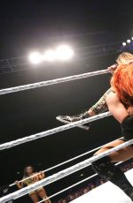 WWE Live in Sheffield 05/12/2017