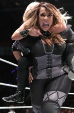 WWE Live in Stuttgart 05/11/2017