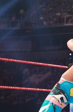 WWE - Payback 2017 Digitals