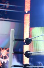 WWE - Raw Digitals 02/29/2016