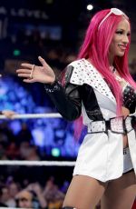 WWE - Raw Digitals 02/29/2016