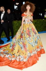 ZENDAYA COLEMAN at 2017 MET Gala in New York 05/01/2017