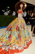 ZENDAYA COLEMAN at 2017 MET Gala in New York 05/01/2017