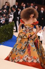 ZENDAYA COLEMAN at 2017 MET Gala in New York 05/01/2017