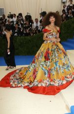 ZENDAYA COLEMAN at 2017 MET Gala in New York 05/01/2017