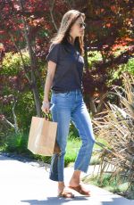 ALESSANDRA AMBROSIO and Jamie Mazur Out in Pacifiy Palisades 06/14/2017