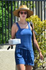ALESSANDRA AMBROSIO Out for Breakfast in Santa Monica 06/17/2017