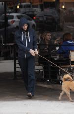 ALEXANDRA DADDARIO Out with Her Dog in Los Angeles 06/09/2017