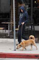 ALEXANDRA DADDARIO Out with Her Dog in Los Angeles 06/09/2017