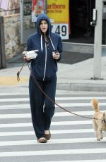 ALEXANDRA DADDARIO Out with Her Dog in Los Angeles 06/09/2017