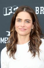 AMANDA PEET at FYC Event for Brockmire and Documentary Now! in Hollywood 05/31/2017