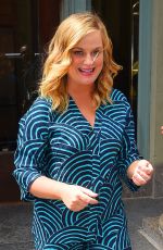 AMY POEHELER Arrives at AOL Studios in New York 06/21/2017