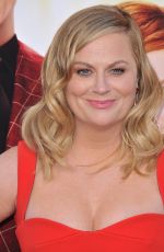 AMY POEHLER at The House Premiere in Hollywood 06/26/2017