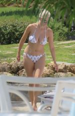 ASHLEY JAMES in Bikini at a Pool in Marbella 06/27/2017