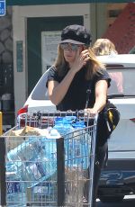 ASHLEY TISDALE Shopping at Wole Foods in Los Angeles 06/18/2017