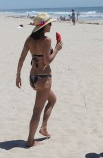 BETHENNY FRANKEL in Bikini at a Beach in Hamptons 06/25/2017