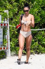 BRE TIESI and JORDAN in Bikinis on the Beach in Miami 06/14/2017
