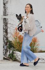 CARA SANTANA Walks Her Dogs Out in Beverly Hills 06/08/2017