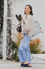 CARA SANTANA Walks Her Dogs Out in Beverly Hills 06/08/2017