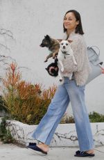 CARA SANTANA Walks Her Dogs Out in Beverly Hills 06/08/2017