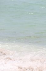 CHANTEL JEFFRIES in Bikini on the Beach in Miami 06/13/2017