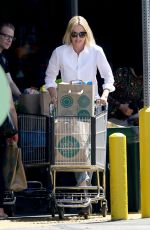 CHARLIZE THERON Out for Grocery Shopping in Beverly Hills 06/09/2017