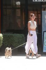 EIZA GONZALEZ Out for Lunch in Los Angeles 06/26/2017