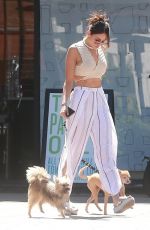 EIZA GONZALEZ Out for Lunch in Los Angeles 06/26/2017