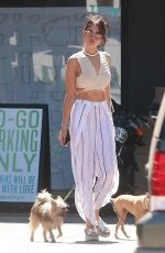 EIZA GONZALEZ Out for Lunch in Los Angeles 06/26/2017