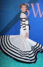 ELSA HOSK at CFDA Fashion Awards in New York 06/05/2017
