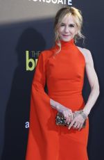 HOLLY HUNTER at The Big Sick Premiere in Los Angeles 06/12/2017