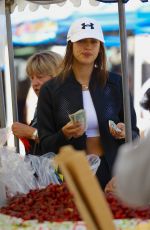 IRINA SHAYK Shopping at Farmer