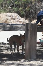 JENNIFER LAWRENCE Out Hiking in Hollywood Hills 06/27/2017
