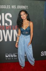 JHENE AIKO at Chris Brown: Welcome to My Life Premiere in Los Angeles 06/06/2017