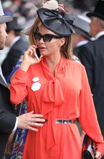 KATIE PRICE at Royal Ascot Races in Berkshire 06/23/2017