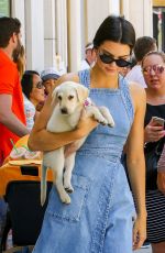 KENDALL JENNER Out with Her Dog in Beverly Hills 06/18/2017