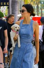 KENDALL JENNER Out with Her Dog in Beverly Hills 06/18/2017